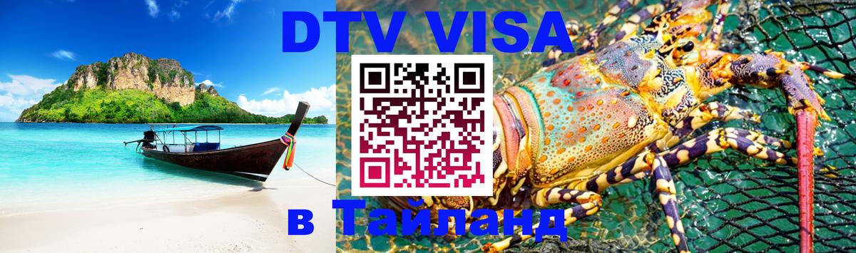 Оформление DTV визы под ключ: стоимость и тарифы, только загранпаспорт - 21.11.2025 